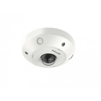 IP-камера Hikvision DS-2XM63C5G0-IVM (2 мм)